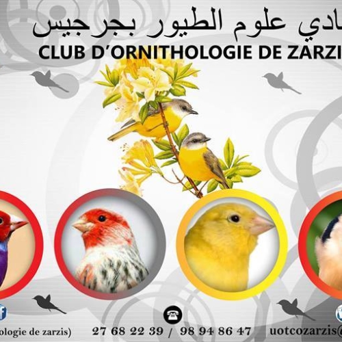 Club d&rsquo;Ornithologie de Zarzis
