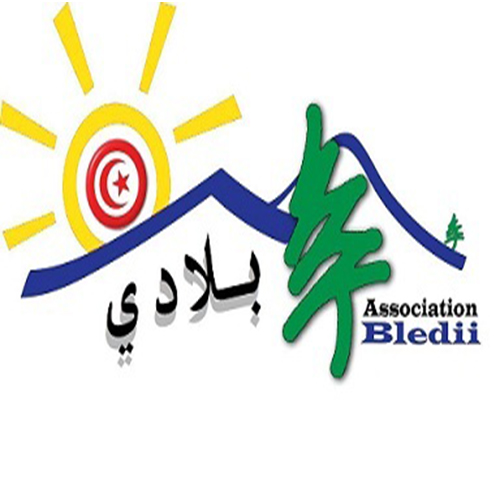 Un consultant-Association Blédii