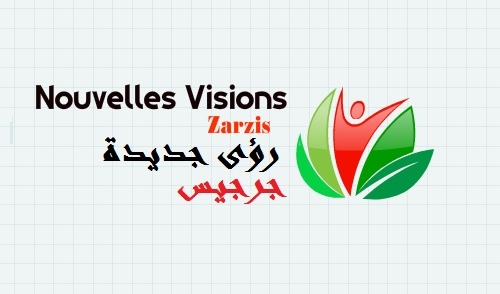 Association Nouvelle Vision de Zarsis