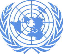 UN-Appel à candidatures-Panel consultatif des jeunes de l&rsquo;équipe pays des Nations unies en Tunisie