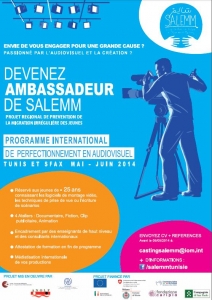 affichesalemm