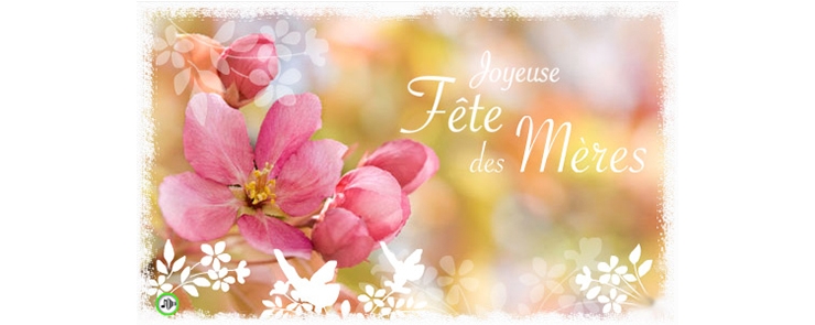 Kermesse de la vie