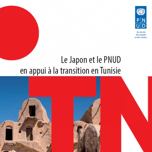 دعم المسار الانتخابي في تونس