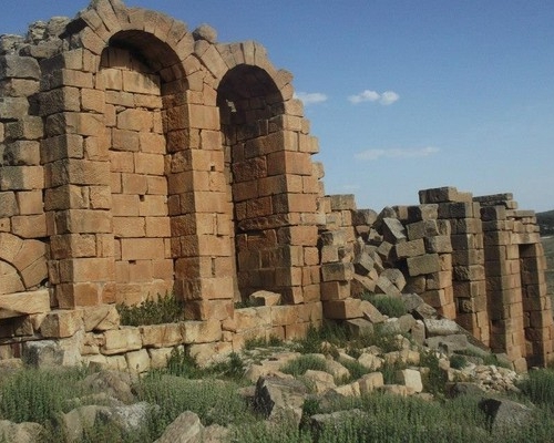 image (9)