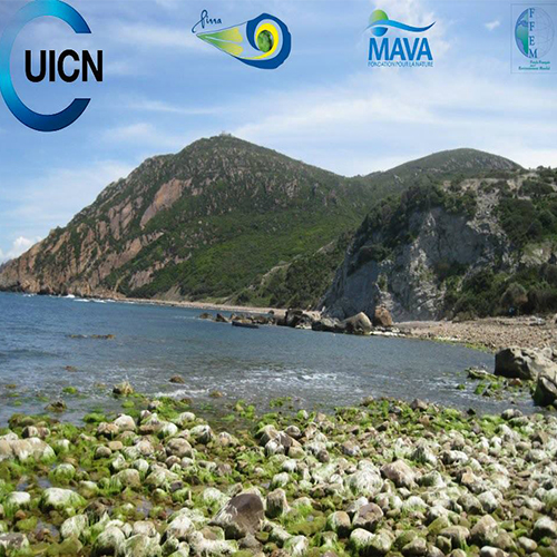 l’association Pinna pour de développement et la promotion de l’écotourisme recrute des animateurs