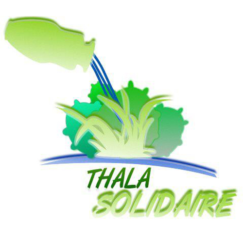 Consultant(e) Formateur/ Formatrice spécialisé(e) en techniques de Communication et prise de parole en public-Thala Solidaire 