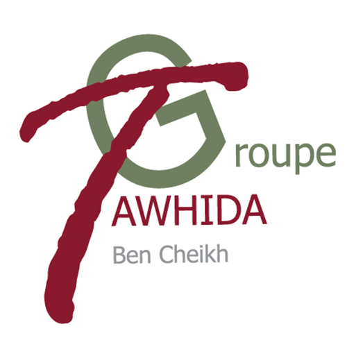 DIRECTEUR/TRICE DE PROGRAMME/Prestation de services-Groupe Tawhida Ben Cheikh