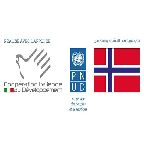 le PNUD lance un appel à participation pour un atelier d’élaboration d’un plan directeur de la participation à l’échelle locale