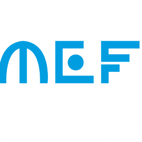 [Offre en Anglais] MEF recrute un(e) Rédacteur (trice) en Chef