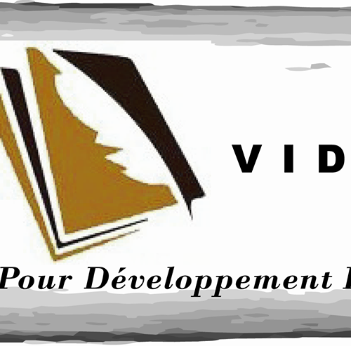 Visions pour Développement et Culture