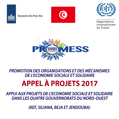 Le Ministère de la Formation Professionnelle et de l&rsquo;Emploi en partenariat avec l&rsquo;Organisation internationale du Travail (OIT), lance quatre appels à projets au profit des associations de Beja