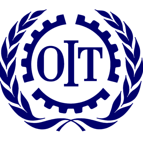 Coordonnateur/trice National/e Principal/e du projet FORTER&rsquo;ESS en Tunisie – L’Organisation internationale du Travail (OIT)