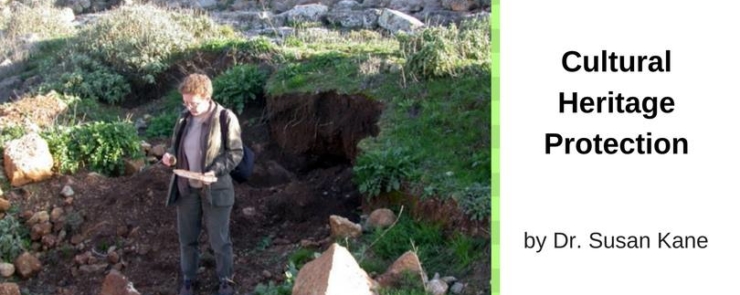Cultural Heritage Protection: An American Professor&rsquo;s Odyssey