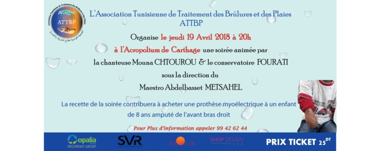 Spectacle Musicale