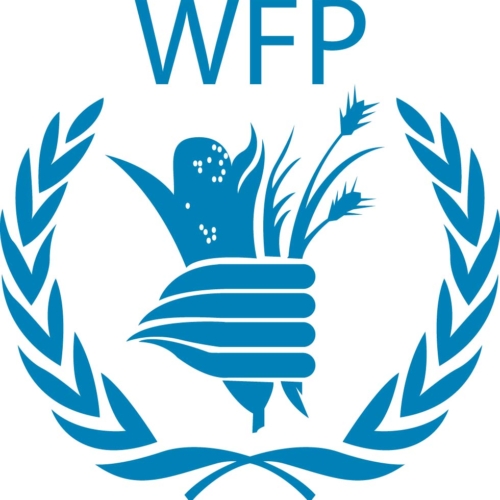 Government partnerships Officer – WFP