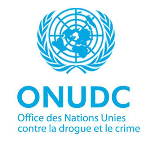 Reporting Assistant-UNODC