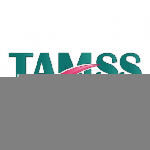 Un consultant en accompagnement des entreprises-TAMSS