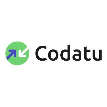 Chef de mission – Association CODATU