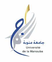2010-2020, une décennie de changements dans le monde arabe