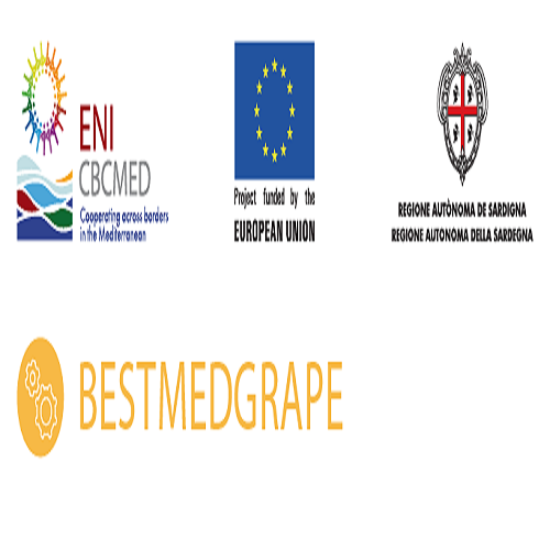 Un appel public de sélection d’entrepreneurs – BESTMEDGRAPE