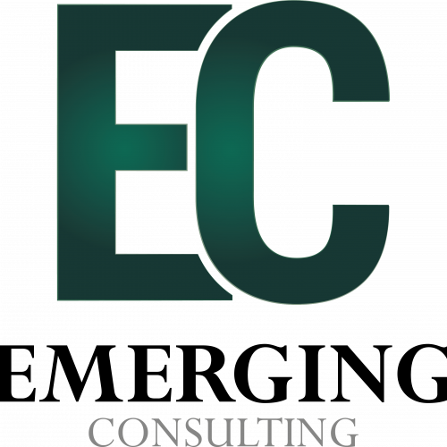 Intern Analyst – Emerging Consulting