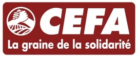 Elaboration d’un diagnostic sur « Municipalités et démocratie participative » à Bizerte-CEFA