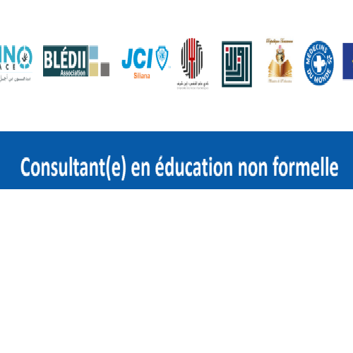 Consultant en Éducation non formelle-Association Blédii