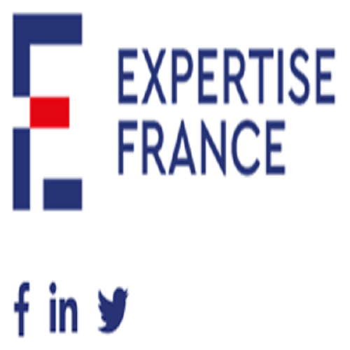 Chargé.e Informatique-Expertise France